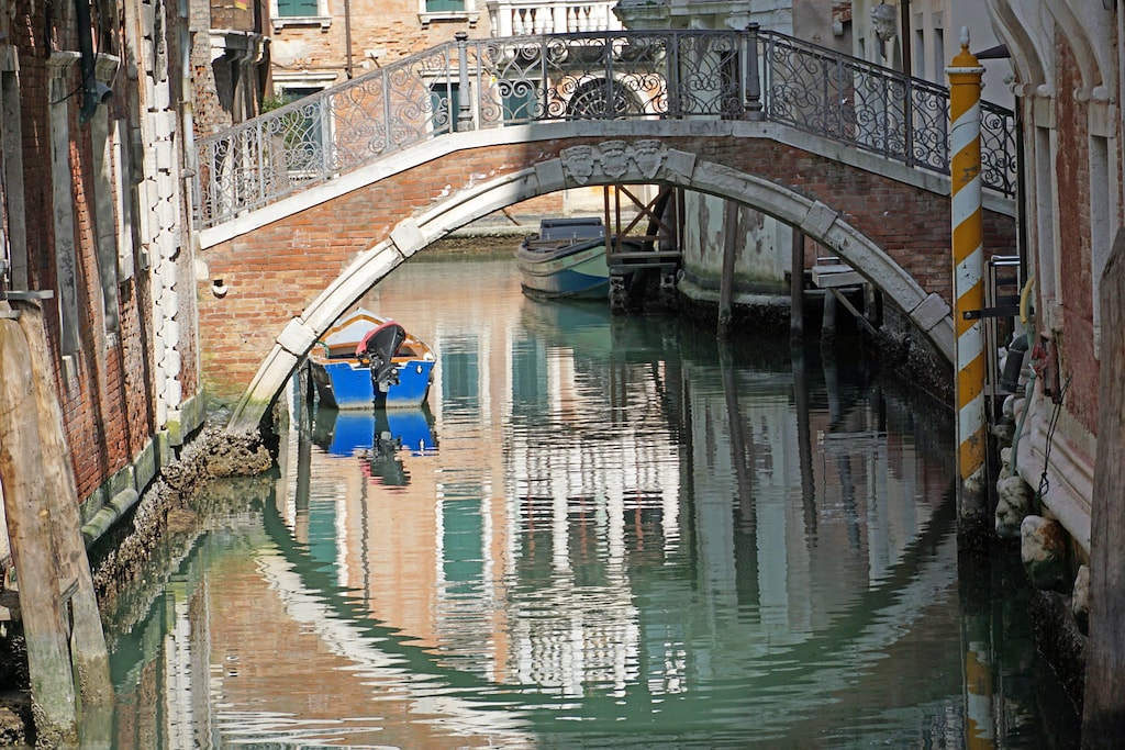 Venezia l acqua dei canali è tornata limpida Si vedono i pesci