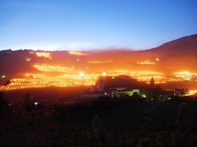 Risultati immagini per DISTESA DI CANDELE IN ALTO ADIGE CONTRO IL GELO PHOTO?