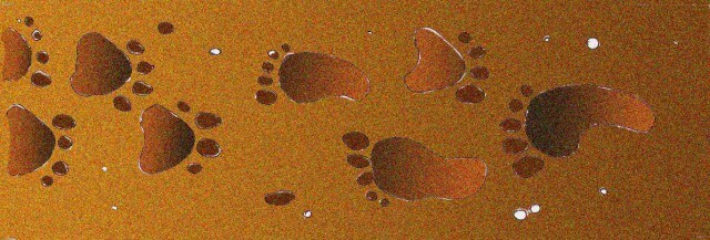 Immagine di impronte (Per leggerne la descrizione proseguire nel link). Sequenza delle impronte sul suolo dell'uomo e del leone, le une in direzione delle altre.