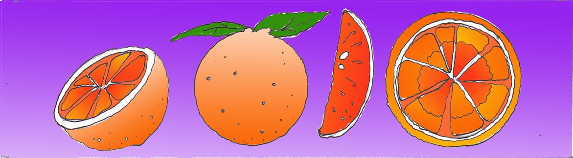 Immagine di parti di un'arancia (Per leggerne la descrizione proseguire nel link). Su di uno sfondo di colore violetto si vedono, da sinistra a destra: la sezione trasversale di un'arancia aperta, un frutto intero, la sezione longitudinale di uno spicchio, un'arancia spaccata nella sua metà.