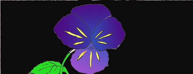 Immagine di una viola del pensiero (Per leggerne la descrizione proseguire nel link). Su di uno sfondo di colore nero si evidenzia, al centro, il fiore di colore viola, con delle striature gialle, nel mezzo dei petali. Si intravede a un lato una foglia verde brillante.