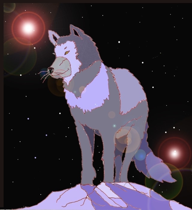 Immagine del lupo (Per leggerne la descrizione proseguire nel link). Si vede il lupo, in piedi su una sommità di ghiaccio. La sua pelliccia argentea risplende alla luce della Luna e della notte stellata che si vede sullo sfondo.