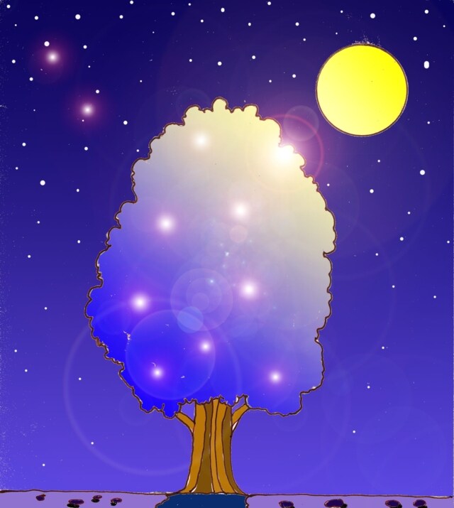 Immagine notturna del mitico albero di Frassino (Per leggerne la descrizione proseguire nel link) L'albero, ai riflessi della luna piena, prende gli stessi colori della notte.