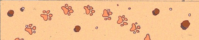 Immagine del terreno visto dall'alto (Per leggerne la descrizione proseguire nel link) Si vedono le impronte di gatto ed alcune crocchette marroncine, sparse sul terreno.