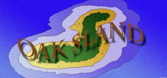 Immagine aerea di un'isola (Per leggerne la descrizione proseguire nel link). Si vede dall'alto un'isola verdeggiante in mezzo al mare. Tutto attorno il mare azzurro che in prossimità della costa ha un colore meno intenso, dato dalla minore profondità dell'acqua. Il disegno è sovrastato dalla scritta marrone 'Oak Island' che proietta la sua ombra sull'isola.