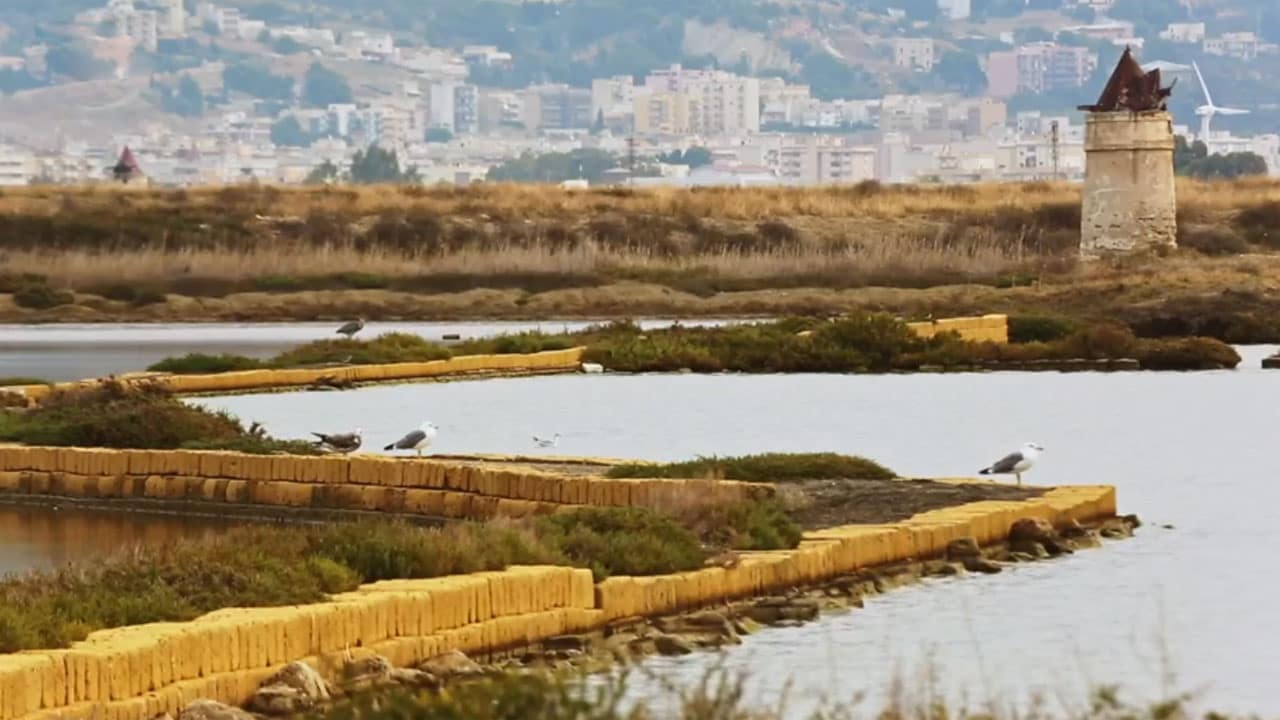 Rai 5 Ghost Town: Poggioreale (Sicilia) - E7