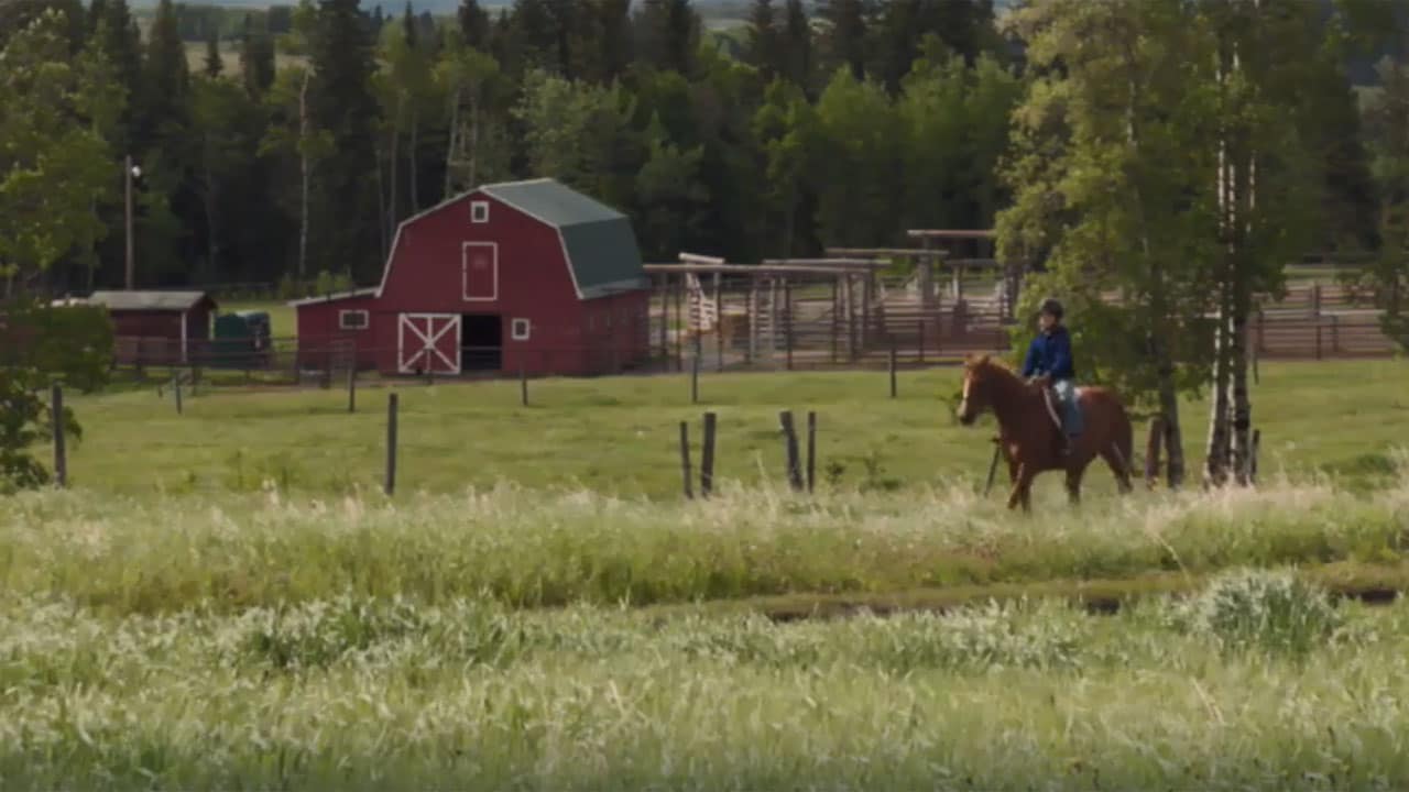 Rai Premium Heartland S6E3 - Cowboy della domenica