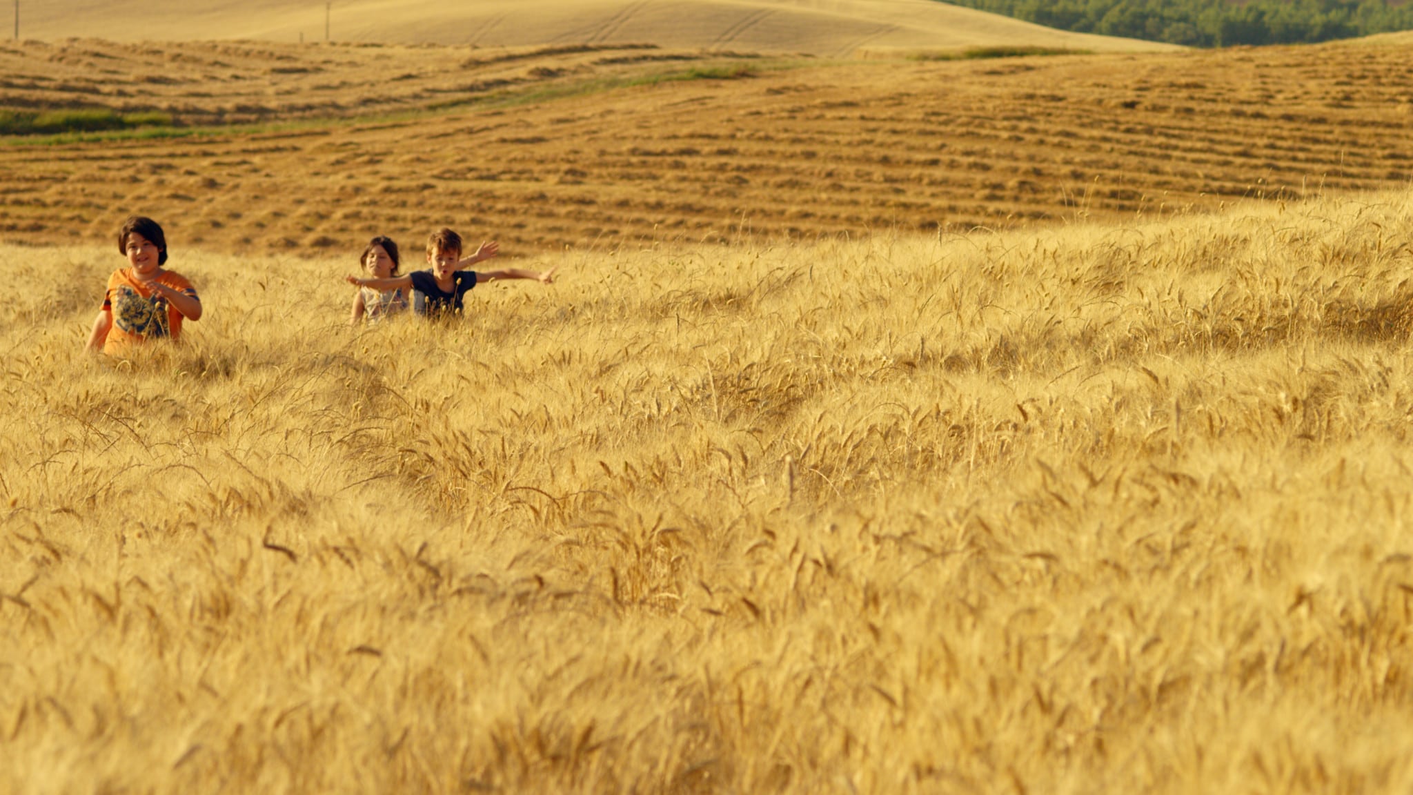 Rai Movie Mare di grano