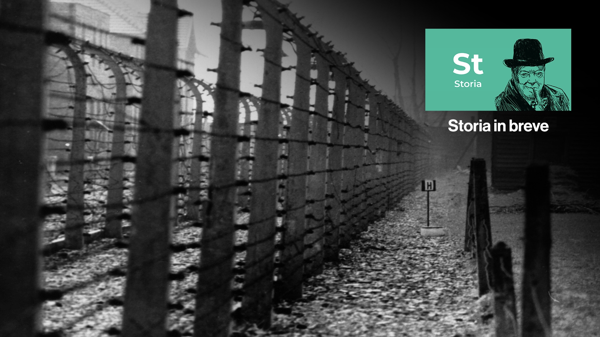 Ritorno Ad Auschwitz - Storia - Rai Cultura