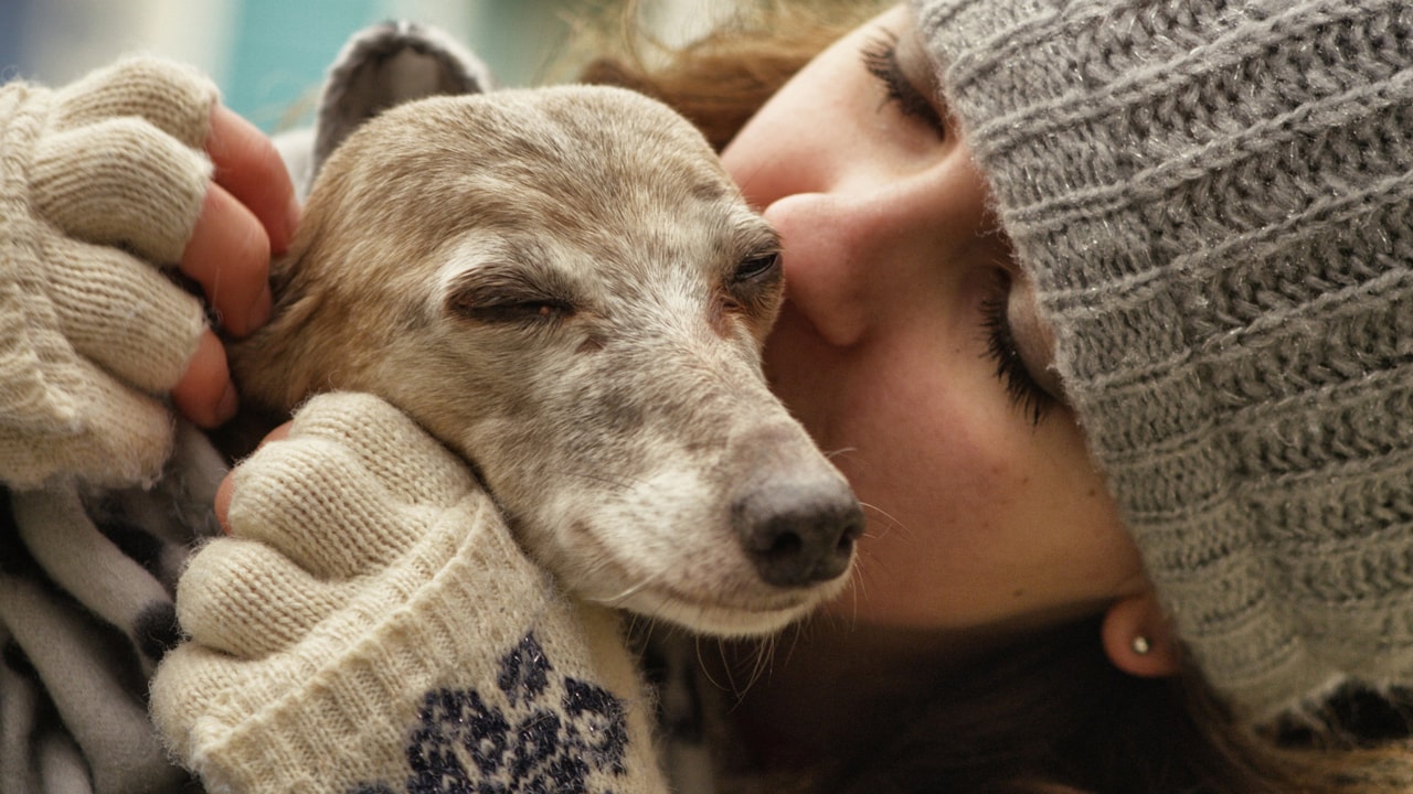 Rai 5 La vita segreta dei cani - S1E2