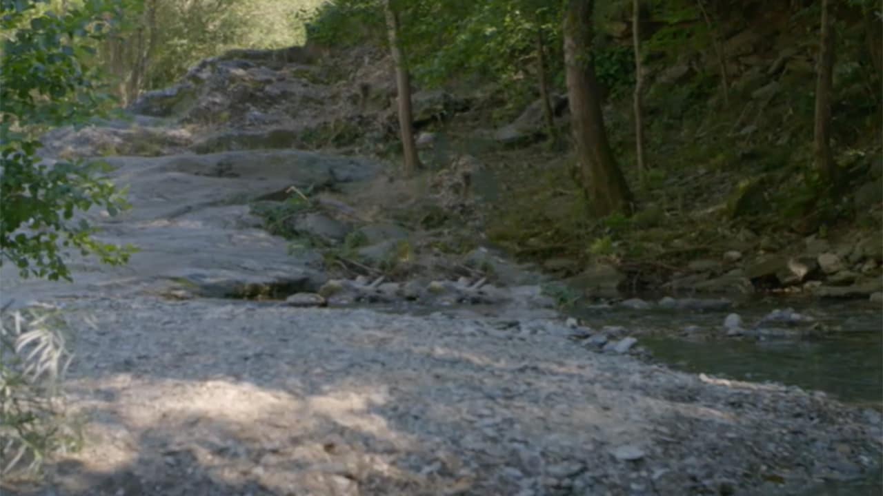 Rai 5 L'uomo dei boschi E4 - La Cevenne bosco della resistenza