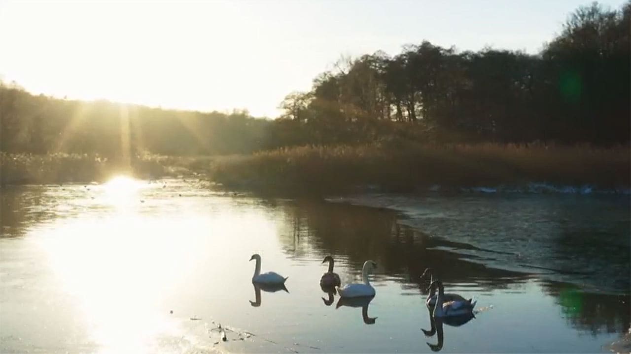 Rai 5 Meraviglie naturali della Danimarca - S1E4