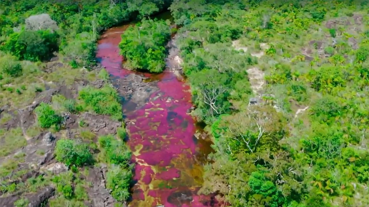 Rai 5 Paradisi da salvare - S1E3 Il Caño Cristales