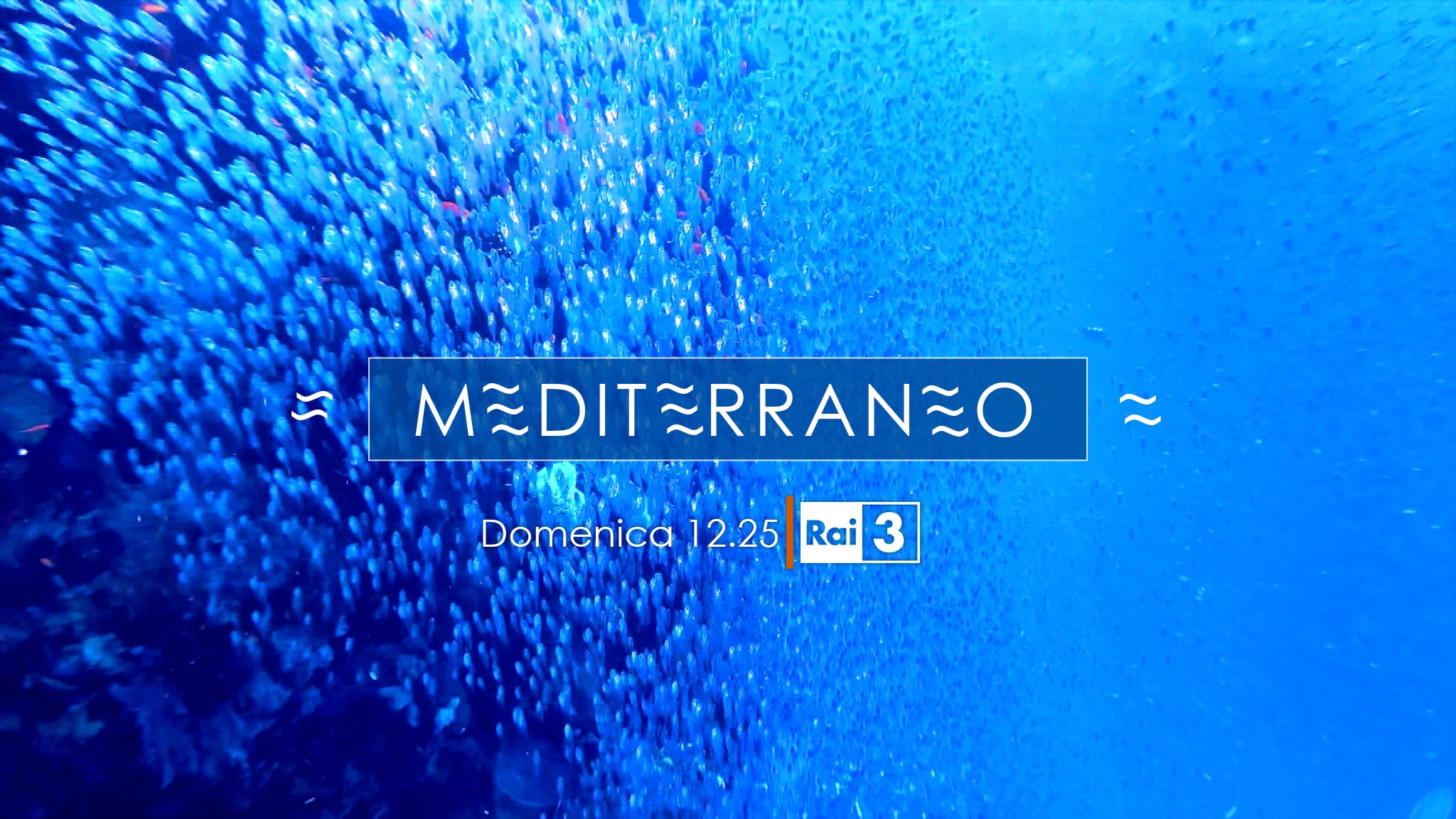 Rai 3 TGR Mediterraneo