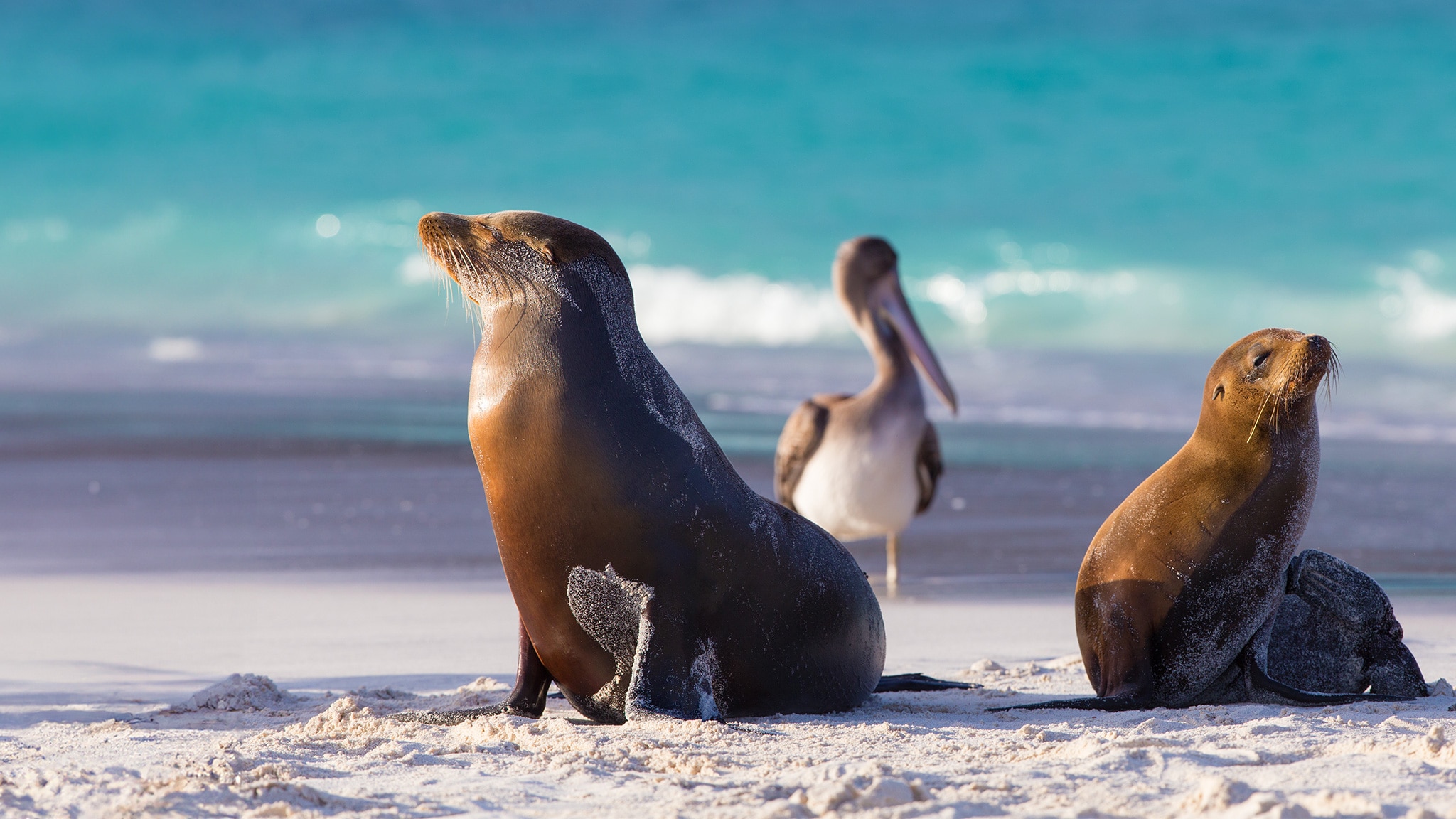 Rai Scuola Ecuador, paradiso di biodiversità Prima