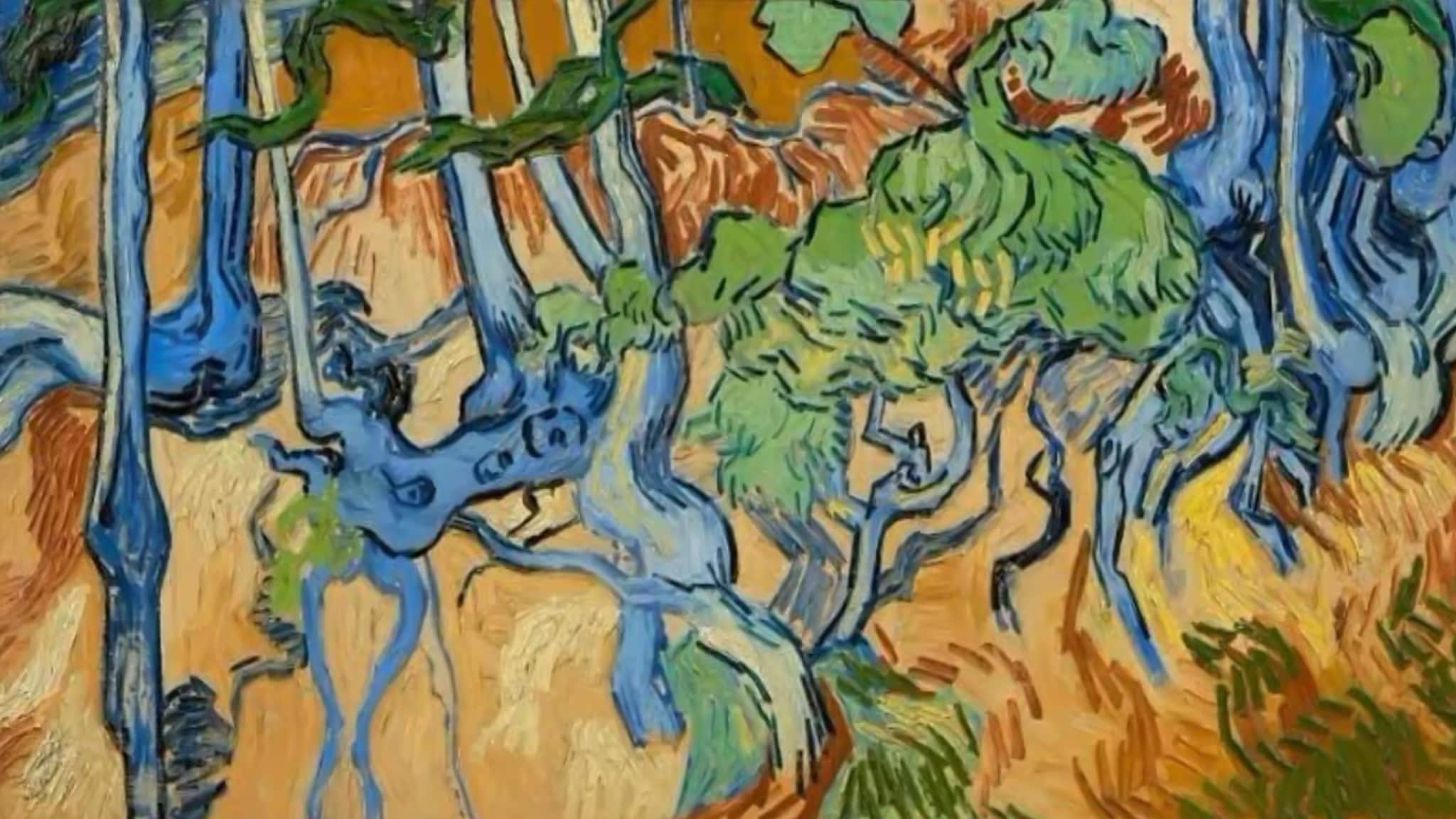 Rai 5 Il mistero dell'ultimo Van Gogh