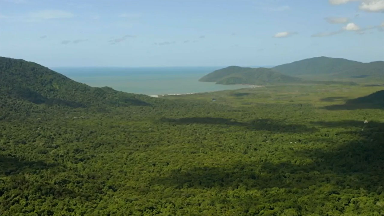 Rai 5 Paradisi da salvare - S1E9 Daintree, l'Australia delle origini