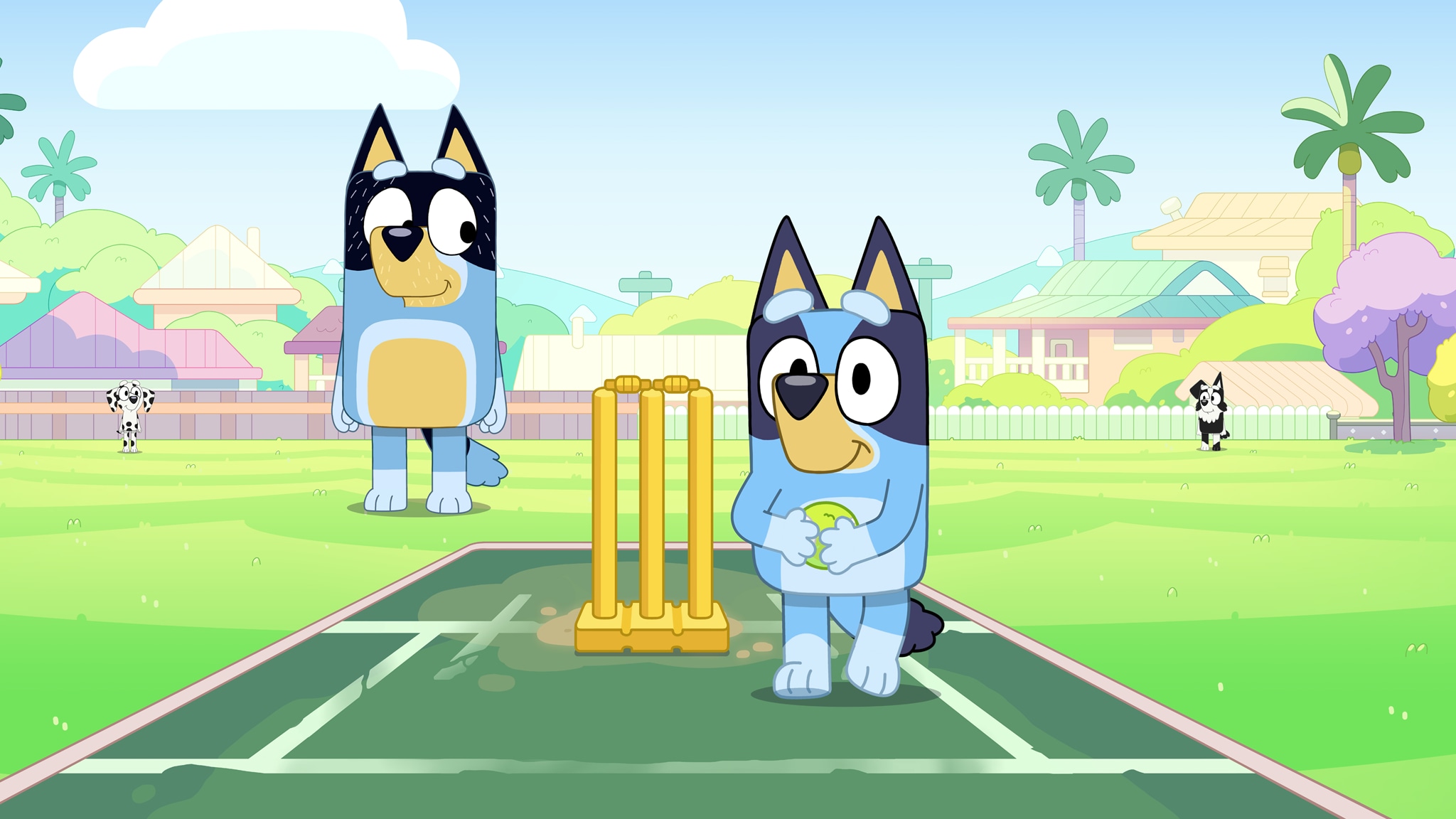 Rai Yoyo Bluey - S3E44 - Cricket