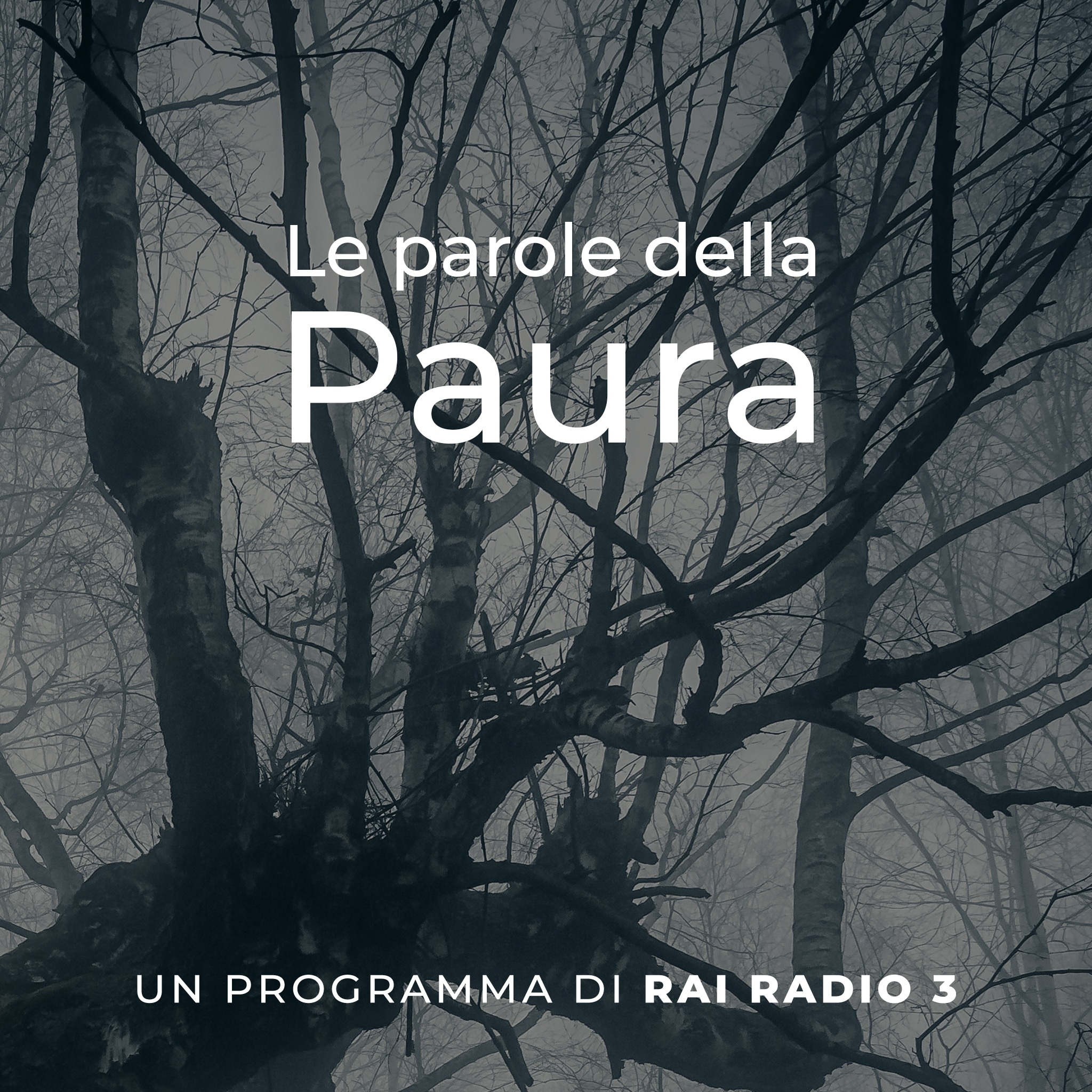 Rai Radio 3 Le Parole Della Paura