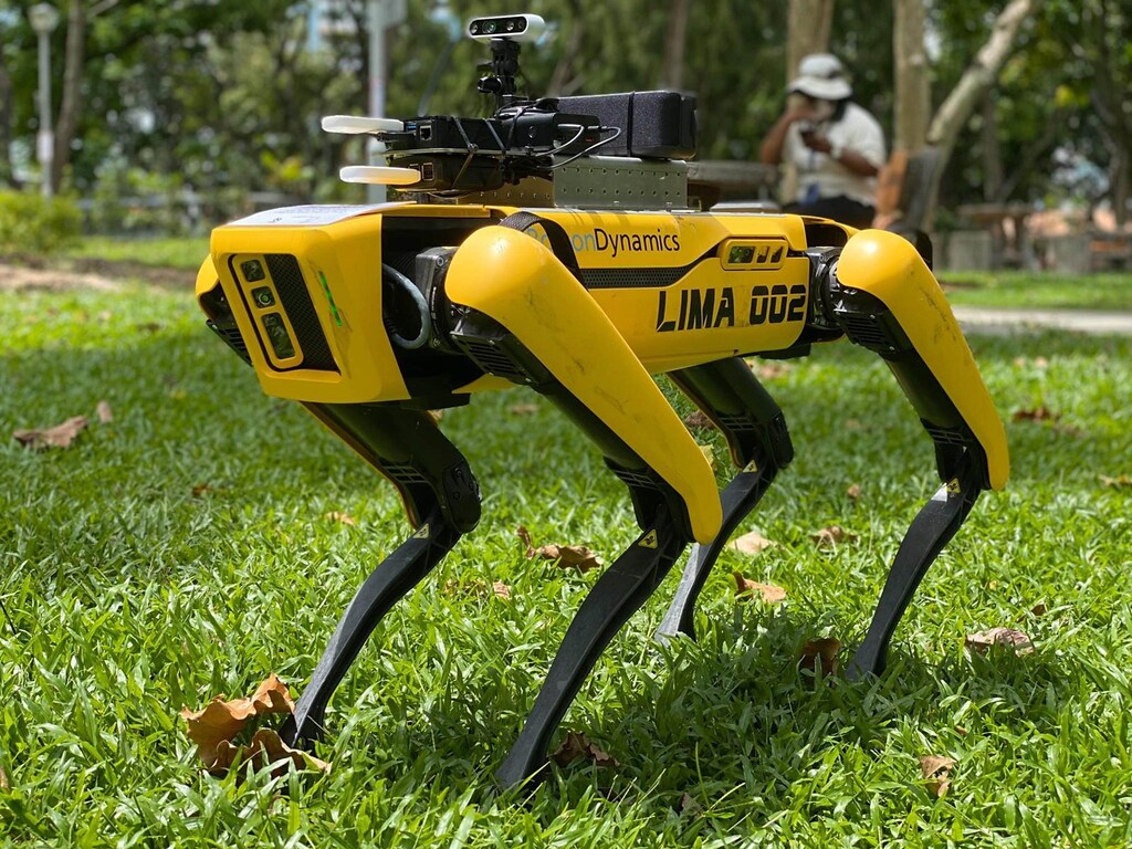 Il cane robot Spot studia come prevenire le frane (e scopre che Vallombrosa  saprà difendersi dal cambiamento climatico)
