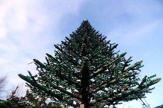 Albero Di Natale Lego.Gran Bretagna 300mila Lego Per L Albero Di Natale Photogallery Rai News