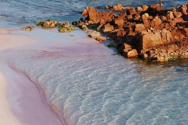 Spiaggia Di Budelli Dopo 29 Anni Turista Pentita