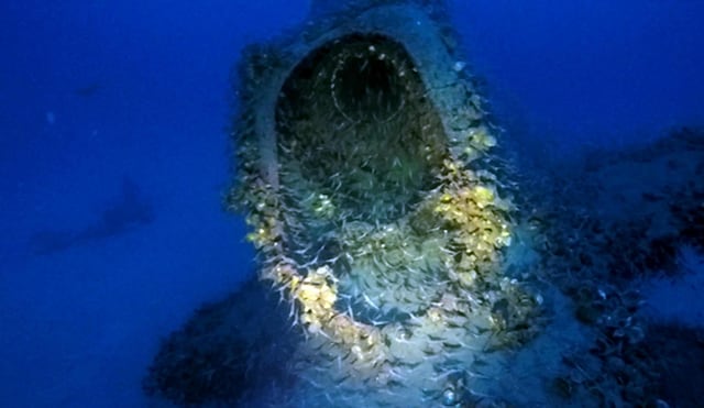 Relitti Archivi Ecosfera Diving Center